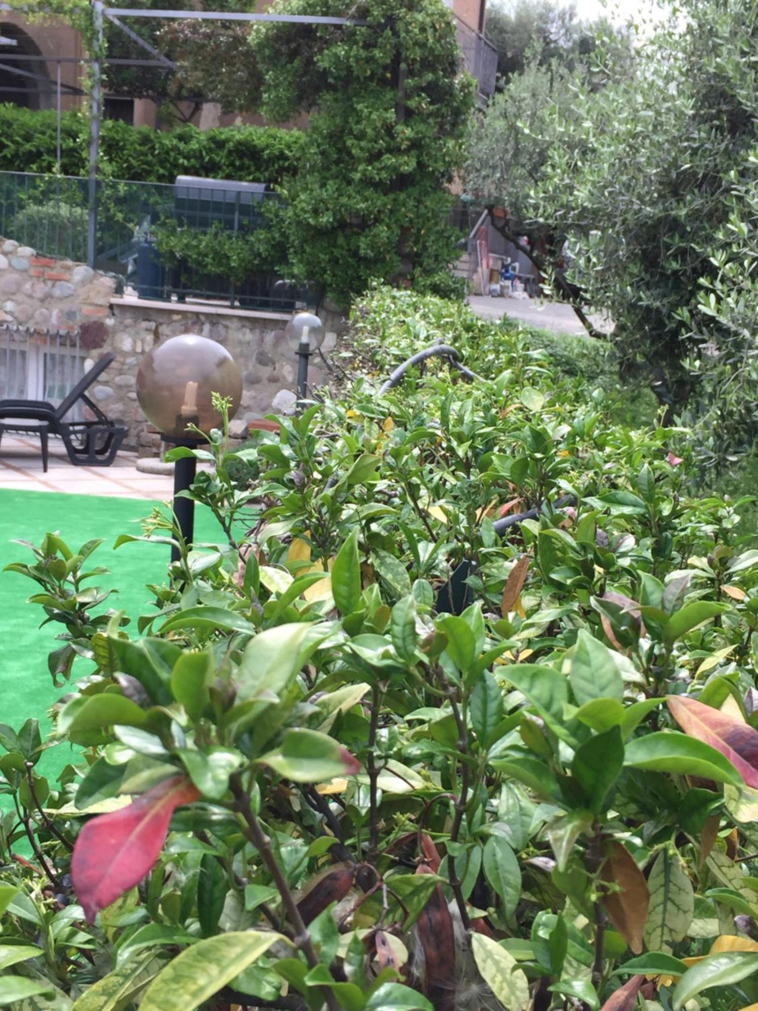 Borgo Piccolo Hotel Cavaion Veronese Eksteriør billede
